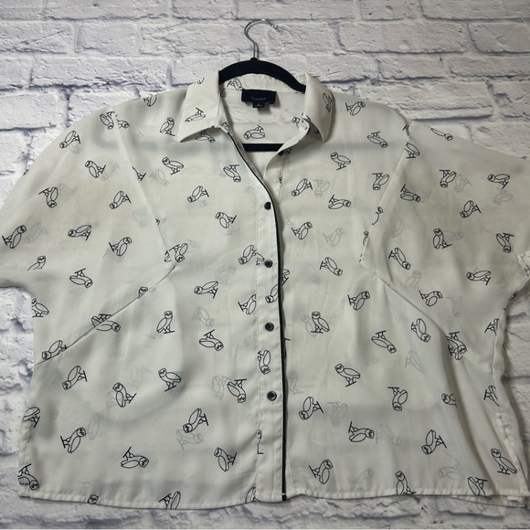 Lumiere White Sheer Shirt with Black Owl Design. Size Small. Whimsigoth. - Picture 4 of 8